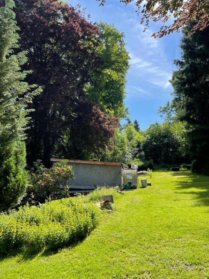 Oelsnitz Vogtlandperle公寓 外观 照片