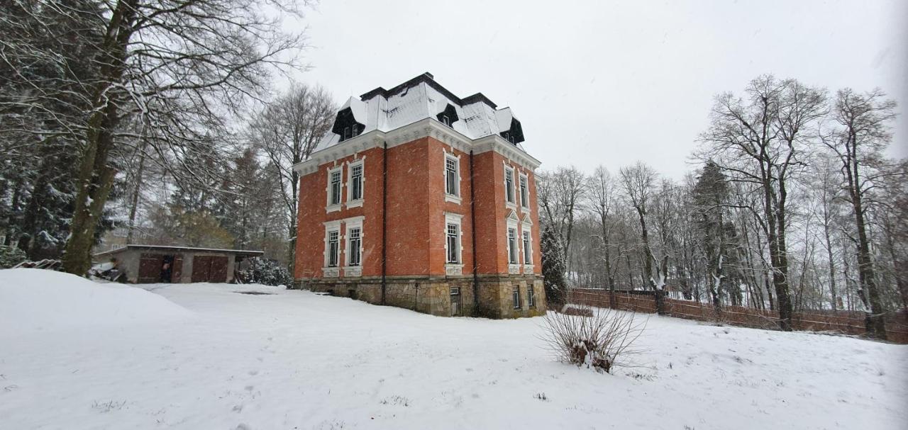 Oelsnitz Vogtlandperle公寓 外观 照片